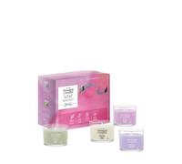 Yankee Candle Geschenkset Wild Orchid, Sage & Citrus, Lemon Lavender, Vanilla Cupcake Coffret bougies 1 art.