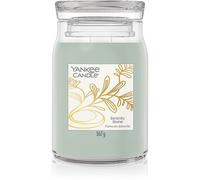 Yankee Candle Little Luxuries Serenity Stone bougie parfumée 567 g