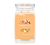 Yankee Candle Mango Ice Cream Signature Bougie parfumée 567 g