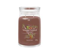 Yankee Candle Praline & Birch bougie signature grand modèle 567 g