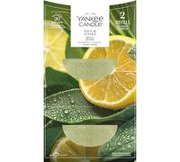 Yankee Candle Recharge de parfum Scent Plug | Sauge et agrumes | Pour petits à moyens espaces | Parfum longue durée