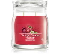 Yankee Candle Red Raspberry bougie parfumée Signature 368 g