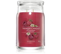 Yankee Candle Red Raspberry bougie parfumée Signature 567 g