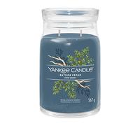 Yankee Candle Signature Bougie parfumée | Grande bougie en pot Bayside Cedar avec double mèche | Bougie en cire de soja à combustion longue | Cadeau parfait pour femme