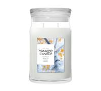 Yankee Candle Signature Grosses Glas Silver Birch Bougie parfumée 567 g