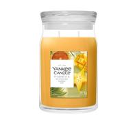 Yankee Candle Signature Grosses Glas Starfruit & Sunshine Bougie parfumée 567 g