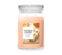 Yankee Candle Signature Grosses Glas Tangerine & Vanilla Bougie parfumée 567 g