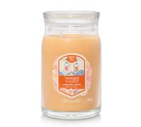 Yankee Candle Signature Large Jar 2 Wicks Slopeside Spritz Universal