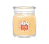Yankee Candle Signature Medium Jar 2 Wicks Slopeside Spritz Universal