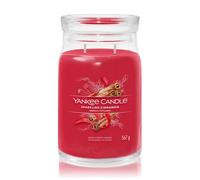 Yankee Candle Sparkling Cinnamon Signature Jar Bougie parfumée 567 g