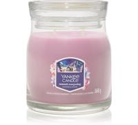 Yankee Candle Summit Stargazing bougie parfumée Signature 368 g