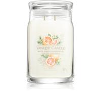Yankee Candle White Spruce & Grapefruit bougie parfumée 567 g