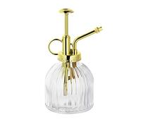 Yardwe 1pièce Arrosoir Verre Vintage Transparent avec Goulot Pulvérisateur Eau Artisanale