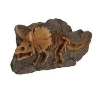 Yardwe Applique Murale Dinosaure en Résine Marron, Décoration Intérieure Naturelle et Artistique, Modèle Fossile Réaliste pour Chambre et Murs de Toutes Pièces
