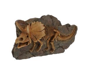 Yardwe Applique Murale Dinosaure en Résine Marron, Décoration Intérieure Naturelle et Artistique, Modèle Fossile Réaliste pour Chambre et Murs de Toutes Pièces