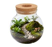 Yardwe Vase Hydroponique en Verre pour Plantes D'intérieur, Récipient de Plantation Élégant Support en Bois, Décoration Maison pour Chambre et Bureau