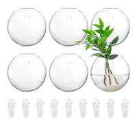 Yarlung Lot de 6 Pots de Fleurs à Suspendre au Mur, 11 cm, en Verre oblat, Vase à Fleurs Transparent pour la Propagation hydroponique, Plantes aériennes