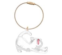 YARNOW Porte-clés Breloque Poils d'animaux en Abs Capsule Transparente, Design Unique et Créatif, Boîte de Rangement Pratique pour Poils de Chat, pour Usage Extérieur et Voyage