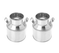 YARNOW Seau à Fleurs Vintage en Fer Galvanisé 2pcs, Mini Pot pour Plantes D'intérieur, Décoration Délicate pour Fenêtres et Rangement D'objets