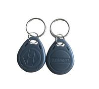 YARONGTECH 125KHz proximité RFID télécommandes Porte-clés Anneau Carte Contrôle Accès RFID Tag Bleu Gris Rouge Noir Orange (Lot de 100)