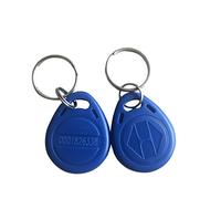 YARONGTECH 125KHz proximité RFID télécommandes Porte-clés Anneau Carte Contrôle Accès RFID Tag Bleu Gris Rouge Noir Orange (Lot de 100)