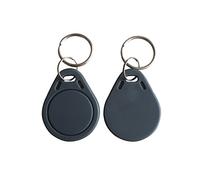 YARONGTECH tag rfid 13.56 badge Carte à puce Couleur grise (paquet de 100)
