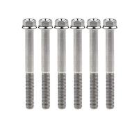Yaruijia Lot de 6 boulons en titane M6 x 10 15 20 25 30 35 40 45 50 55 60 65 mm Vis hexagonales à petite bride pas de 1 mm (M6 x 55 mm, titane)