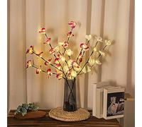 YATOSEEN Branches Lumineuses, 20X2 LED Lumineuses avec Fleurs D'orchidées Artificielles, Branche Lumineuse pour Vase Table, Fête, Salon, Chambre à Coucher, Décoration (2 Paquet, Violet + Blanc)