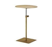 YCCHAH Meubles De Salon Table d'appoint élévatrice en Acier Inoxydable, Petite Ronde, à thé, canapé, Mobile, café Simple Tables D'appoint Salon(Gold,Circle)
