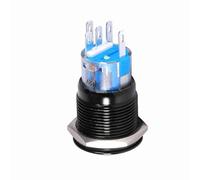 Yechiry Interrupteur à Bouton-poussoir LED 19mm, Durable, Autobloquant, étanche, Marche/arrêt pour L'industrie Automobile, Noir (GREEN)