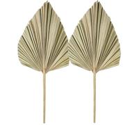 Yeesabella Lot de 2 petites feuilles de palmier séchées naturelles pour maison bohème, fête, mariage, décoration, bouquet à faire soi-même