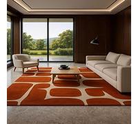 YEGRFJIS Tapis Moderne Lavable Antidérapant 100x140cm Géométrique Orange Abstrait Carpette Salon Chambre Poils Courts Faux Cachemire Rétro Doux
