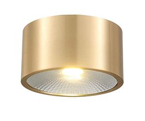 YHQSYKS Spot Rond à LED monté en Surface Spot de Plafond en Laiton brossé de 3 Pouces 5W 7W 12W Projecteurs COB antiéblouissants Downlight cylindrique monté en Surface