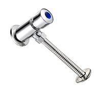 Yinhing Valve de Chasse d'urinoir en Acier Inoxydable, Type Poussoir, Valve de Chasse à Retard Haute Pression, Pièces de Salle de Bains