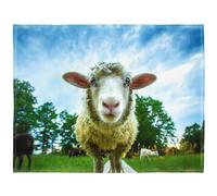 YISUMEI 150 x 200 cm - Couverture confortable, chaude, douce, facile d'entretien, lavable en machine, motif de mouton mignon