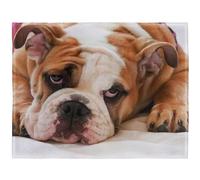 YISUMEI - Couverture polaire douce - Bouledogue anglais, 125 x 150 cm, convient pour canapé ou lit