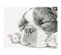 YISUMEI - Couverture polaire douce - Bouledogue français endormi - 150 x 200 cm - Convient pour canapé ou lit