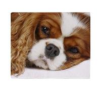 YISUMEI - Couverture polaire douce - Cavalier King Charles Spaniel, 80 x 120 cm, convient pour canapé ou lit