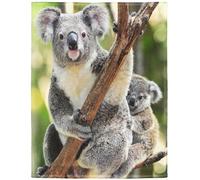 YISUMEI - Couverture polaire douce - L'ours koala tient fermement l'arbre, 150 x 200 cm, jeté de lit ou canapé