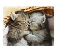 YISUMEI - Couverture polaire douce - Une paire de chats mignons, jeté de lit 75 x 100 cm, convient pour lit ou canapé