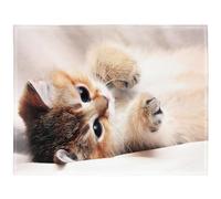 YISUMEI Plaid en fausse fourrure douce imprimé animal couverture chaude pour lit et canapé chat mignon 150 x 200 cm