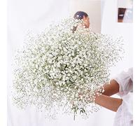 YIWOYI Fleurs séchées naturelles, bouquet de gypsophiles paniculées pour fête de mariage, décoration de la maison (blanc, 15 à 30 cm, 20 g)