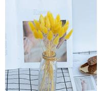 YIWOYI Herbe naturelle séchée en queue de lapin - Fleurs naturelles séchées - Bouquet de fleurs de lagurus et de pampa - Décoration d'intérieur - Pour mariage (jaune, 30 pièces)