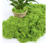 YIYICO Mousse Artificielle Decoration 100g Fausse Mousse Vegetale Decorativ | Mousses Verte Artificielle Vert Clair Mousses Stabilisée Lichen pour Jardin Bricolage Florale Travaux Manuels Plante