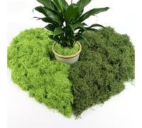 YIYICO Mousse Artificielle Decoration 200g Fausse Mousse Vegetale Decorativ | Mousses Verte Artificielle Mousses Stabilisée Lichen pour Jardin Bricolage Florale Travaux Manuels Plante