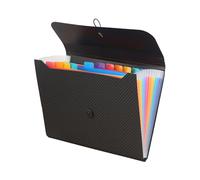 Ylinwtech Trieur Extensible 13 Compartiments A4, Organiseur de Dossiers Accordéon, Extensible Pochettes pour Documents pour Bureau, Maison, École