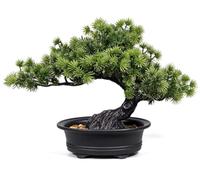 yoerm Plantes artificielles d'intérieur - Bonsaï - pour décoration de la Maison, de la Salle de Bain, de la bibliothèque, du Jardin Zen, de la Ferme, de la Chambre - 24,1 cm de Haut