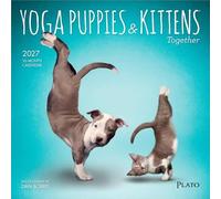 Yoga Puppies & Kittens Together OFFICIAL | 2027 7 x 14 Inch (Hanging) Monthly Mini Wall Calendar | Plato | Animals Dogs Cats Pets