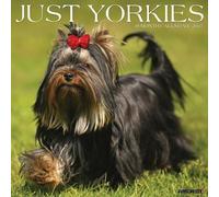Willow Creek Press, Just Yorkies Calendrier mural 2027