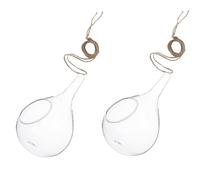 YOSADIER Lot de 2 Jardinières Murales en Verre Suspendues pour Micro-Paysage, Vases Hydroponiques Décoratifs pour Plantes Aériennes en Intérieur, Salon ou Chambre